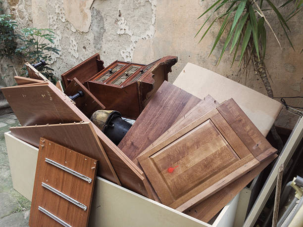 Yard Cleanup Services in Amite City, LA
